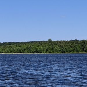 Meet your Posher, Christy